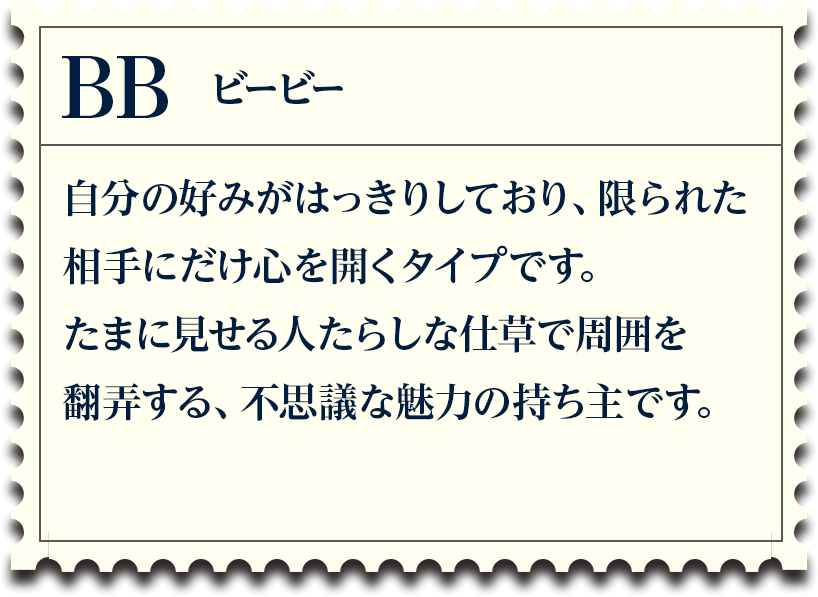 説明画像