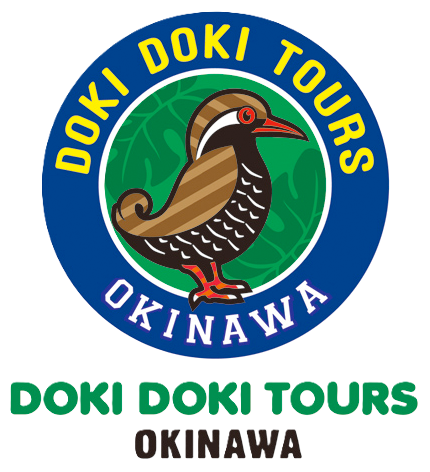 DOKI DOKI TOURS OKINAWA