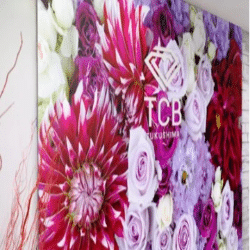 福島市のおすすめ脱毛サロン 医療脱毛 8件まとめ