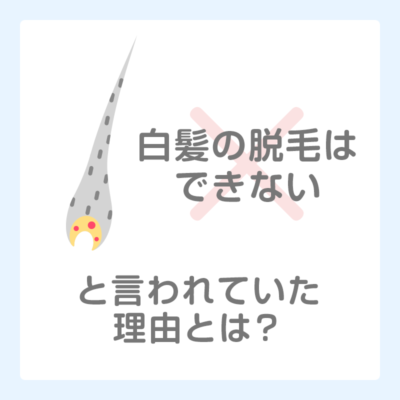 白髪脱毛 陰毛 Vio はできる できない 蓄熱式医療レーザー脱毛とニードル脱毛の併用で効果あり