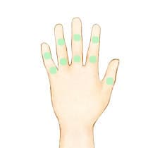 リンクス 範囲 両手の指（指毛）