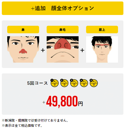 メンズリゼのプラス追加 顔全体オプションの料金と範囲を説明する画像