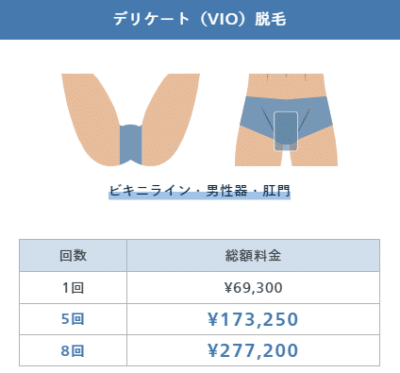 レジーナクリニックオムのデリケート脱毛の料金