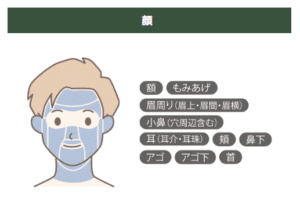 メンズエルプラスクリニックの脱毛範囲-顔