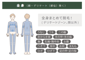 メンズエルプラスクリニックの脱毛範囲-全身