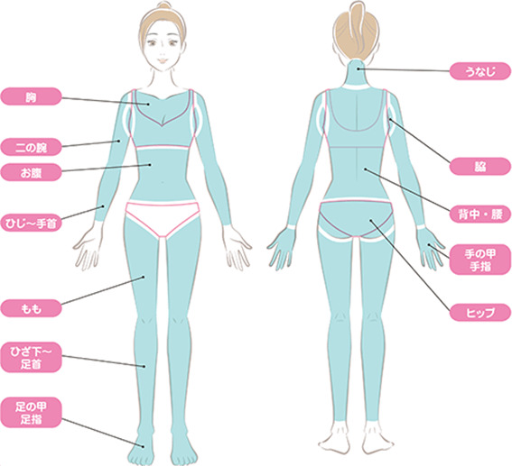 カノアクリニックの照射範囲（全身脱毛（VIO・顔なし））