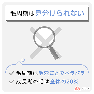 毛周期の調べ方・見分ける方法は？【正確に調べる方法はなし】