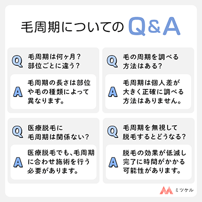 「毛周期は何ヶ月？」など疑問への回答Q&A