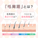 毛周期とは？脱毛に関係ない？調べ方・部位別ベストな周期一覧【医師監修】