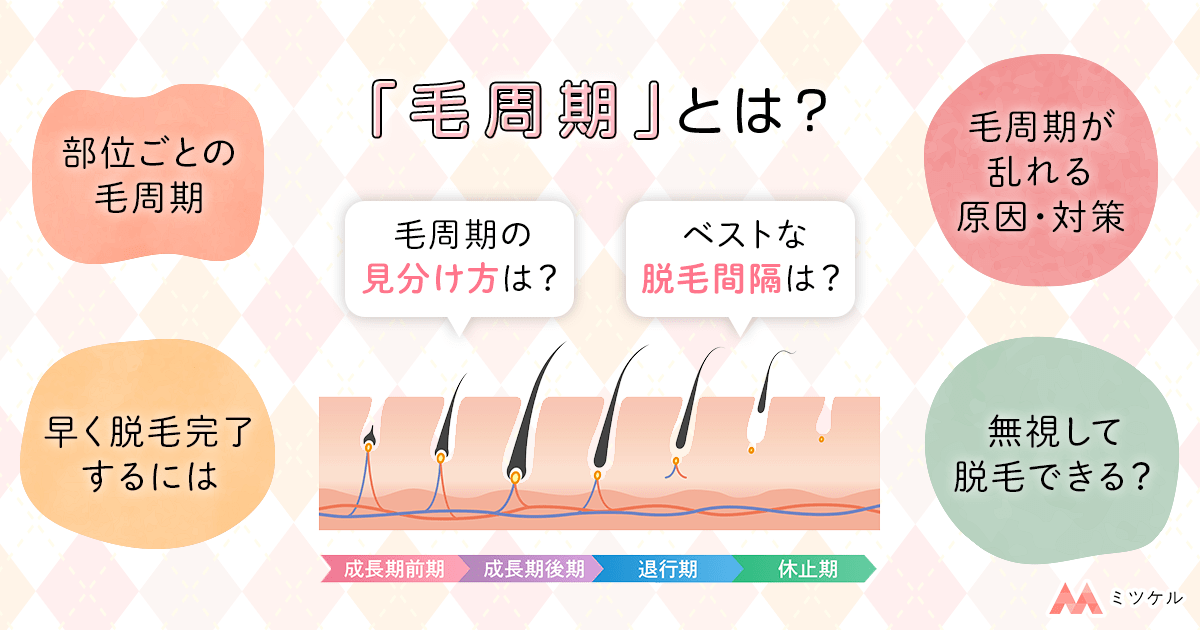 毛周期とは？脱毛に関係ない？調べ方・部位別ベストな周期一覧【医師監修】