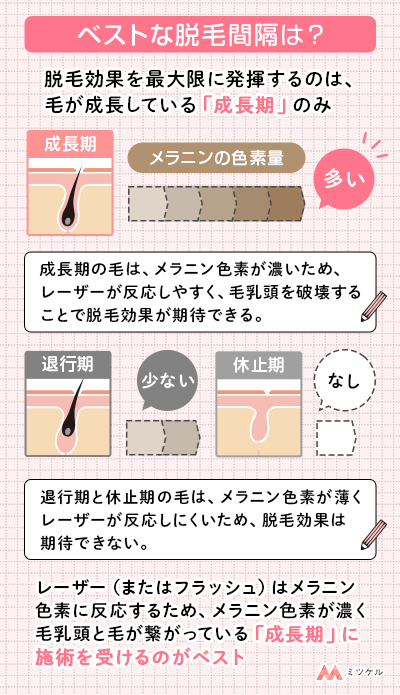 毛周期に合わせた脱毛のベストな間隔【脱毛感覚をあけすぎると効果がない？】