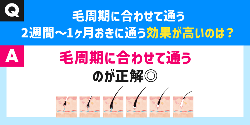 毛周期に合わせて通うのと、2週間～1ヶ月おきに通うのはどっちが効果が高い？