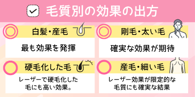 毛質別の効果の出方