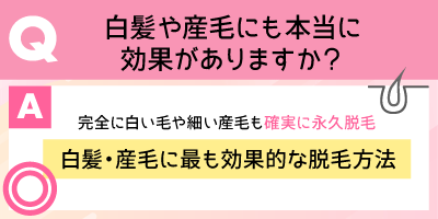 白髪や産毛にも本当に効果がありますか？