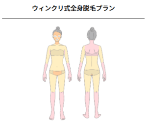 ウィンクリ式全身脱毛プランの範囲