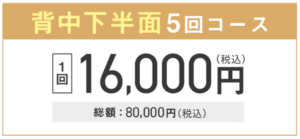 ウィンクリニックの背中下半面脱毛用イメージ