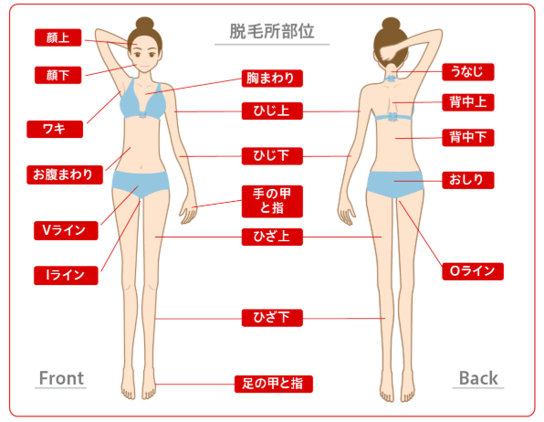 リンリンの全身脱毛範囲