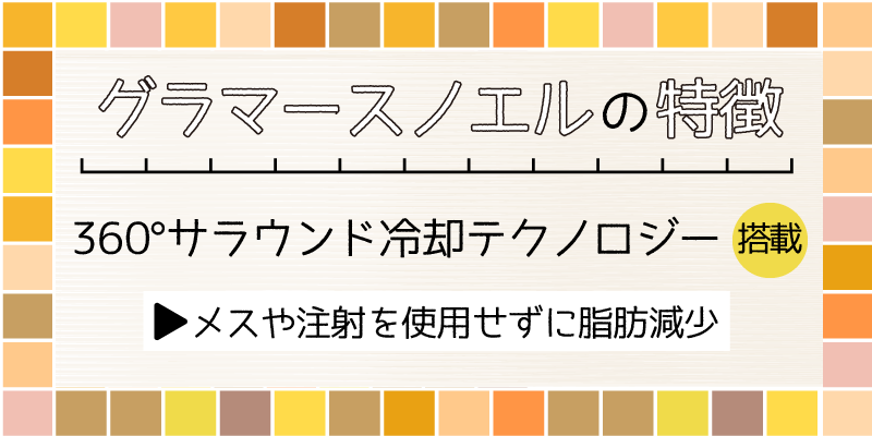 グラマースノエルの特徴説明画像