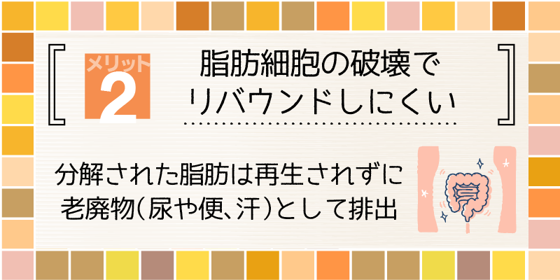 メリット2.脂肪細胞の破壊でリバウンドしにくい身体作りができる解説画像