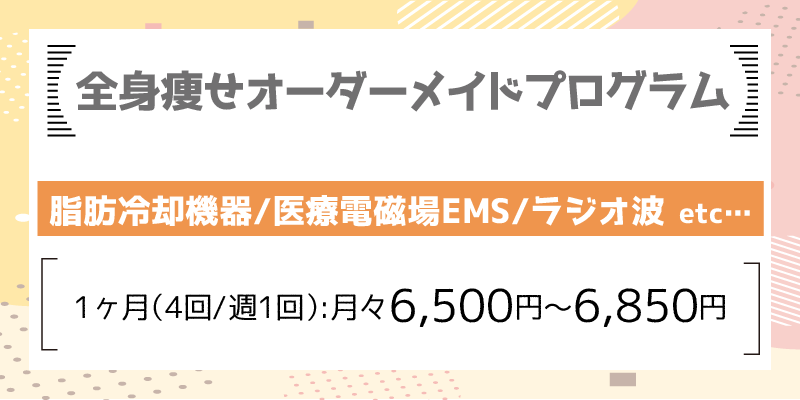 全身痩せオーダーメイドプログラム解説画像