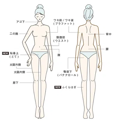 ブルークリニックの医療痩身ダイエットの料金