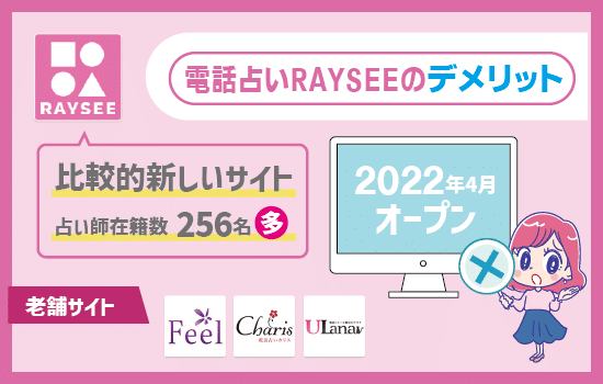 電話占いRAYSEE(レイシー)のデメリット「運営歴が短い」