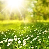 電話占いリエル　映満先生