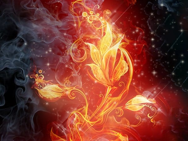 Cloverチャット占い：愛奏先生