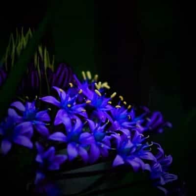 霊場天扉 亜神志先生