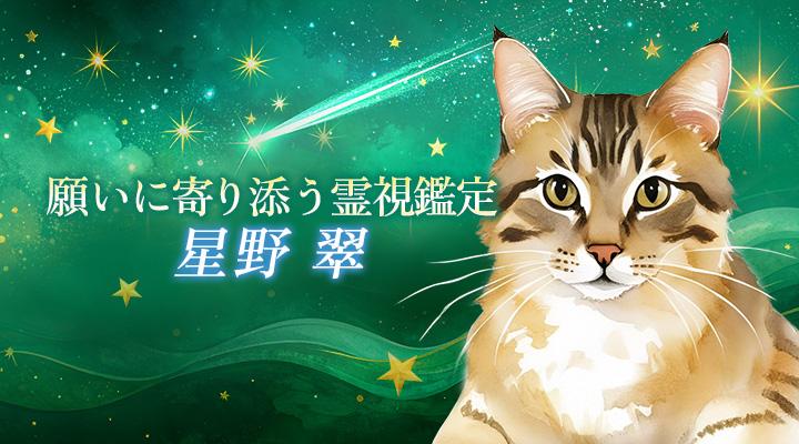 ウラーラ:星野翠先生